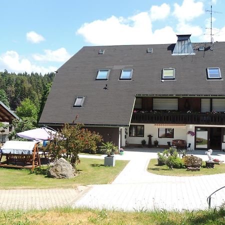 Haus Ingeborg Apartment Dachsberg im Schwarzwald Exterior photo