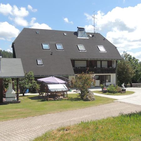 Haus Ingeborg Apartment Dachsberg im Schwarzwald Exterior photo