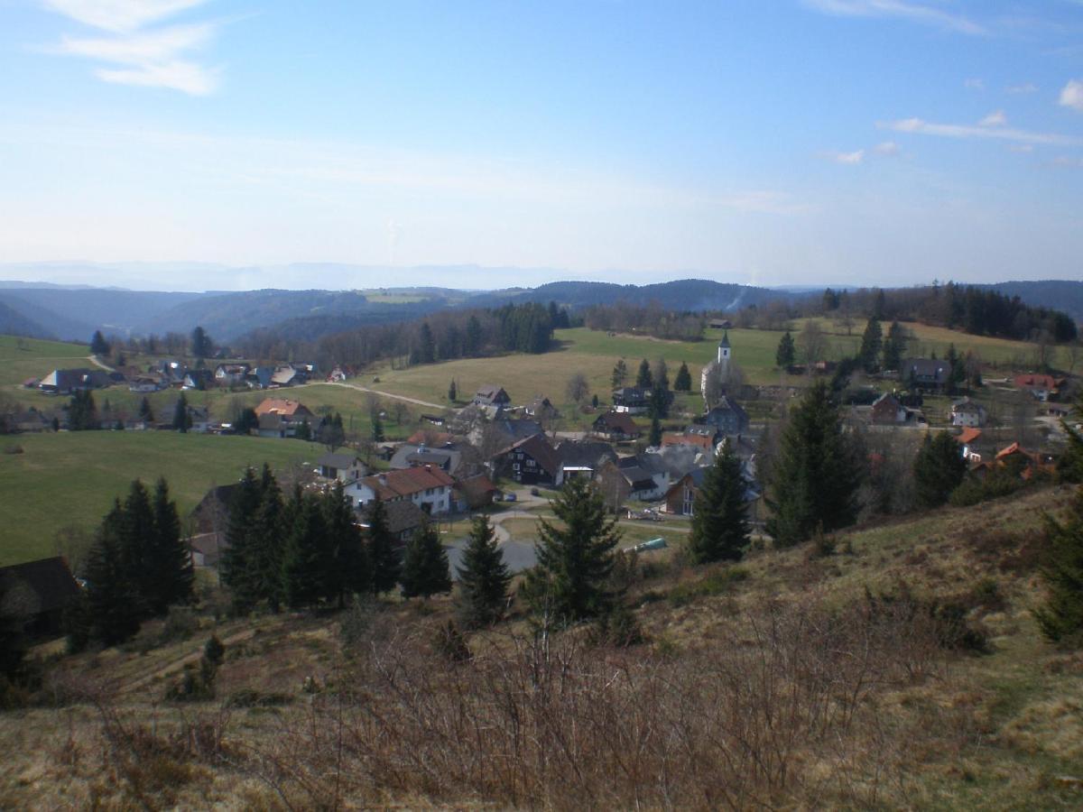 Haus Ingeborg Apartment Dachsberg im Schwarzwald Exterior photo