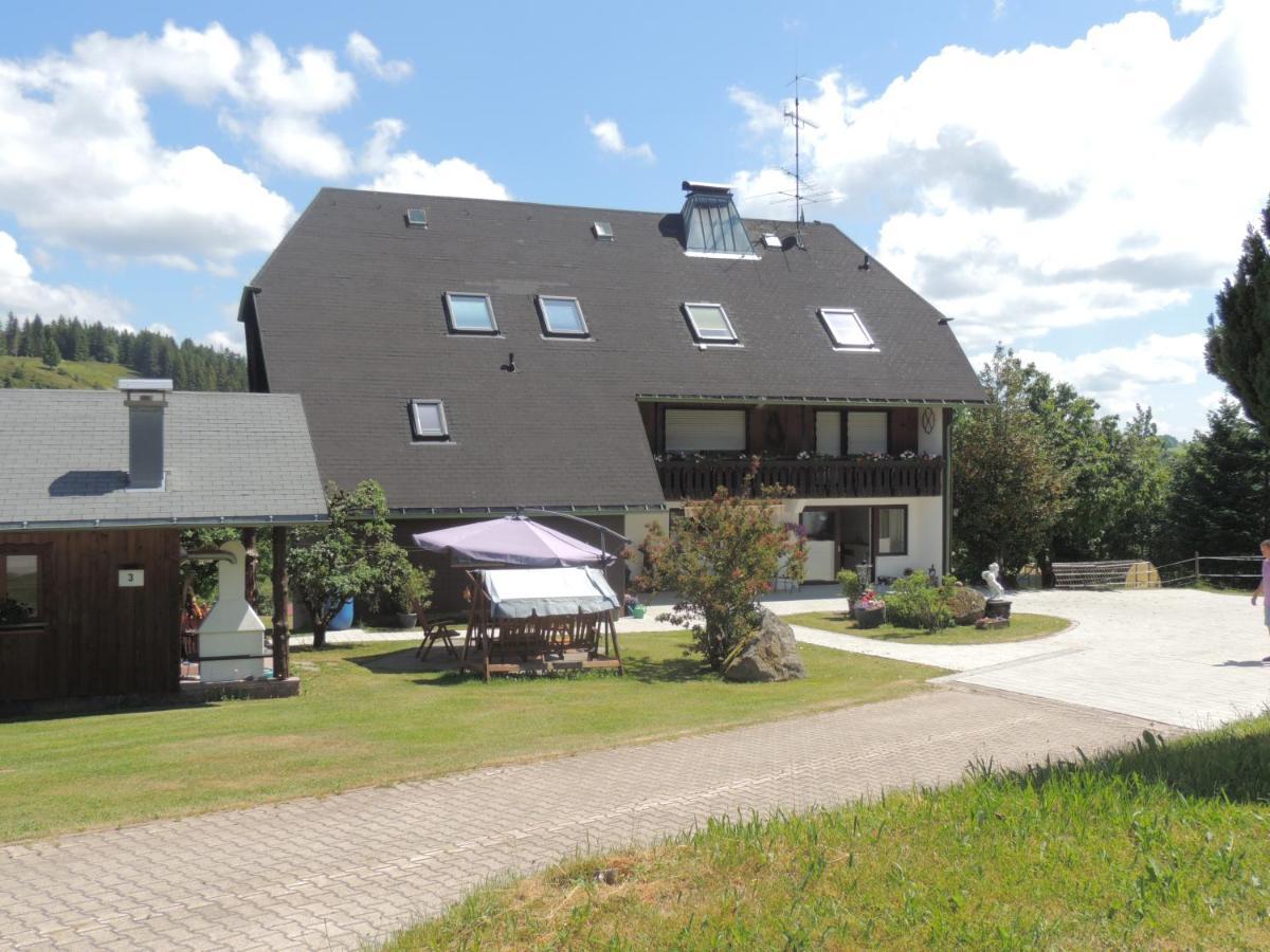 Haus Ingeborg Apartment Dachsberg im Schwarzwald Exterior photo